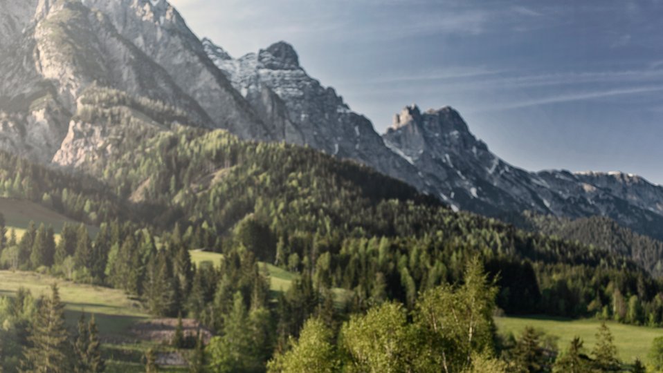 Waldspa Pool Forsthofgut 2