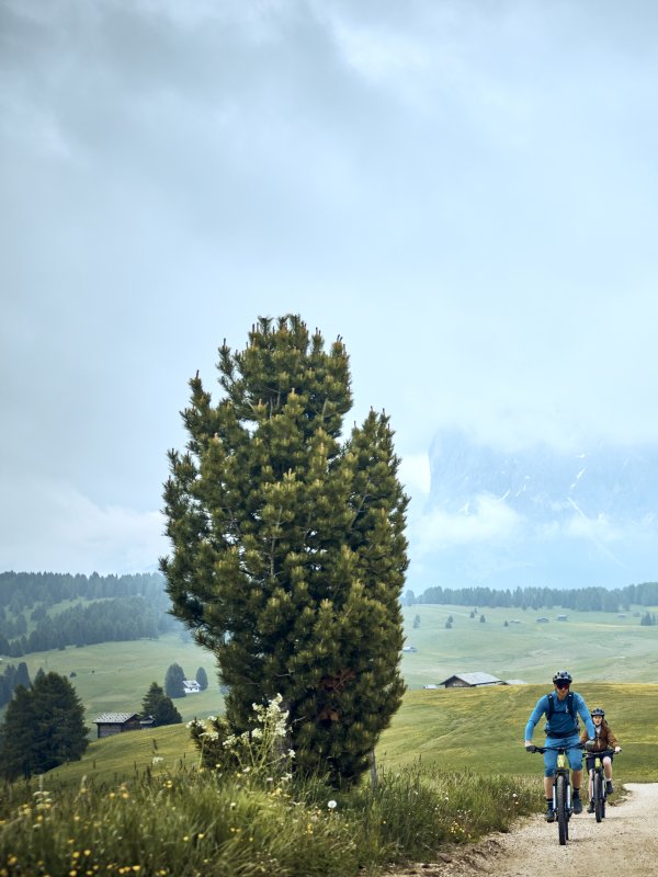 South Tyrol Como Alpina Cycling