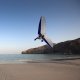 Oman Luxury Family Travel Microlight