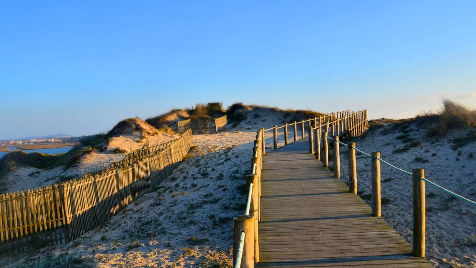 Endless Beach Portugal Norte Viana Do Castelo Surfing