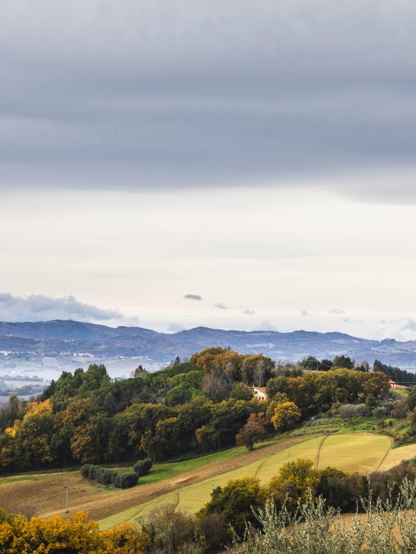 Le Marche Itay Countryside
