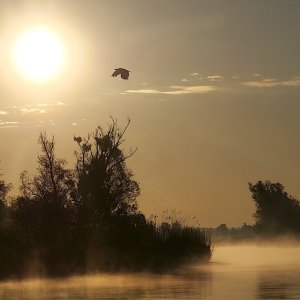 Abenteuer Peenetal
