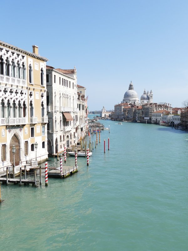Travel To Venice Italy With Kids Grand Canal