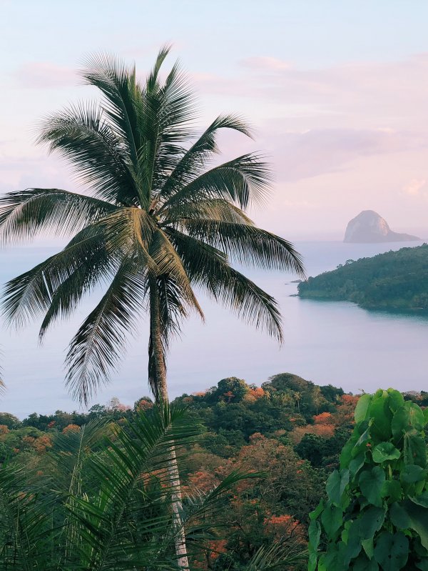 Travel To Principe Africa Private Island View