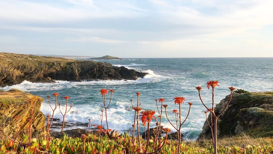 Travel With Kids Portugal Costa Vicentina
