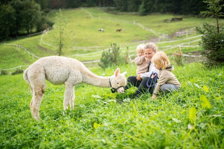 Feuerstein Family Resort South Tyrol