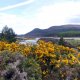 Scottish Highlands Family Holiday Niche Traveller Nature Travel Flowers