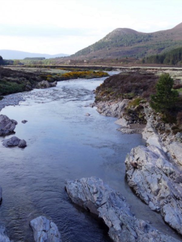 Scottish Highlands Family Holiday Niche Traveller Nature Travel Stones
