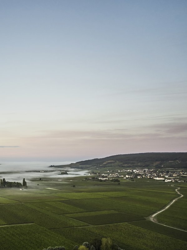 Burgundy France Travel