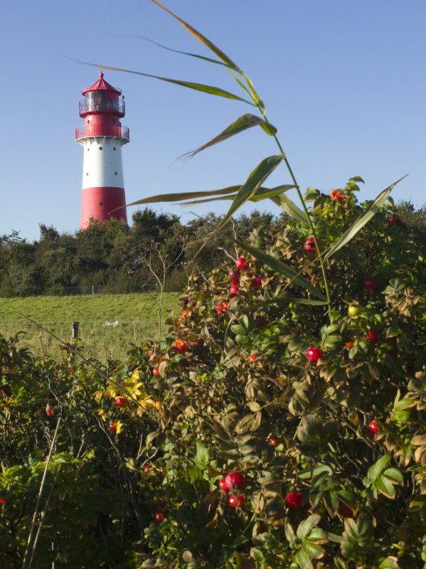 Gelting Bay Reisen In Deutschland Leuchtturm Falshoft