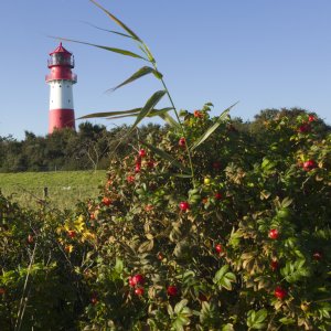 Gelting Bay Reisen In Deutschland Leuchtturm Falshoft