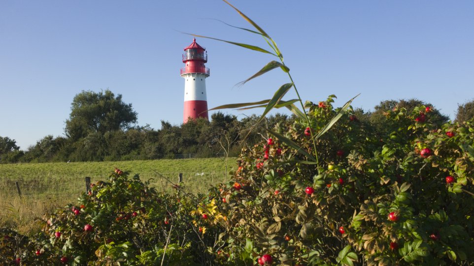 Gelting Bay Reisen In Deutschland Leuchtturm Falshoft