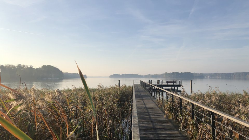Travel To Lake Scharmutzel Germany With Kids Bridge 2