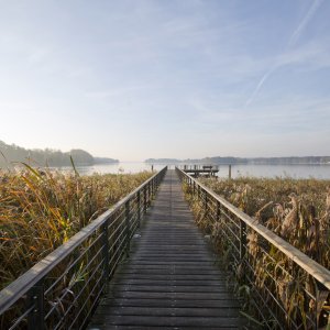 Travel To Lake Scharmutzel Germany With Kids Bridge