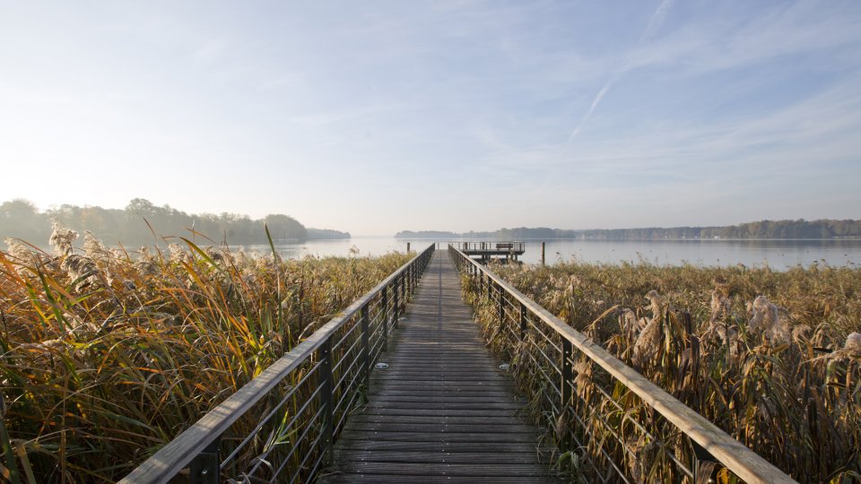 Travel To Lake Scharmutzel Germany With Kids Bridge
