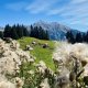 Family Holiday Lenzerheide