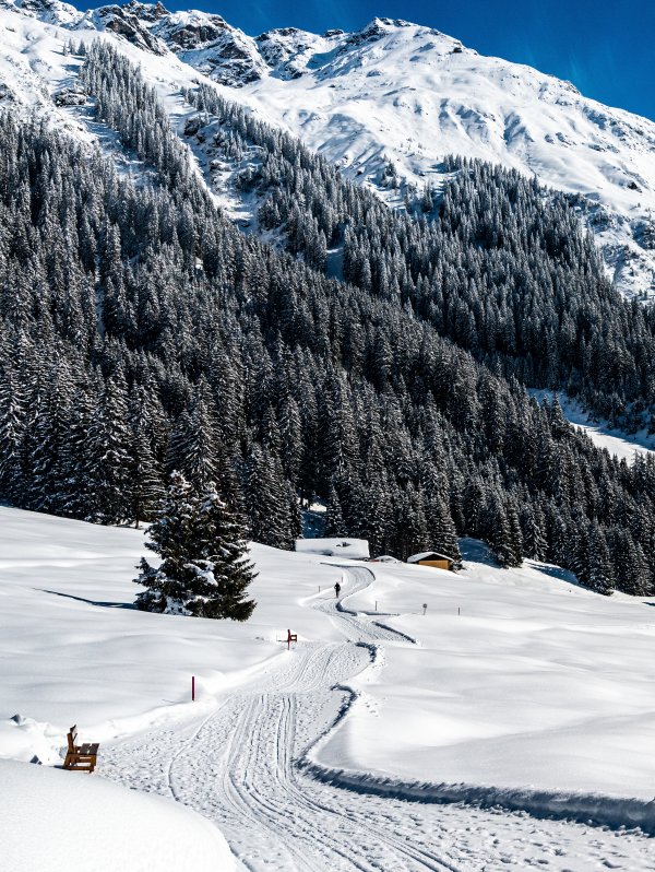 Davos Klosters Mountains