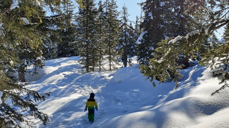 Alpbach Austria Family Holiday Hideaway Forest