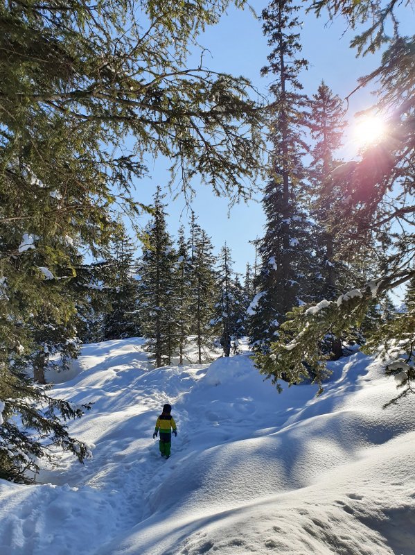 Alpbach Austria Family Holiday Hideaway Forest