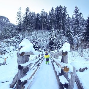 Alpbach Austria Family Holiday Hideaway Snow