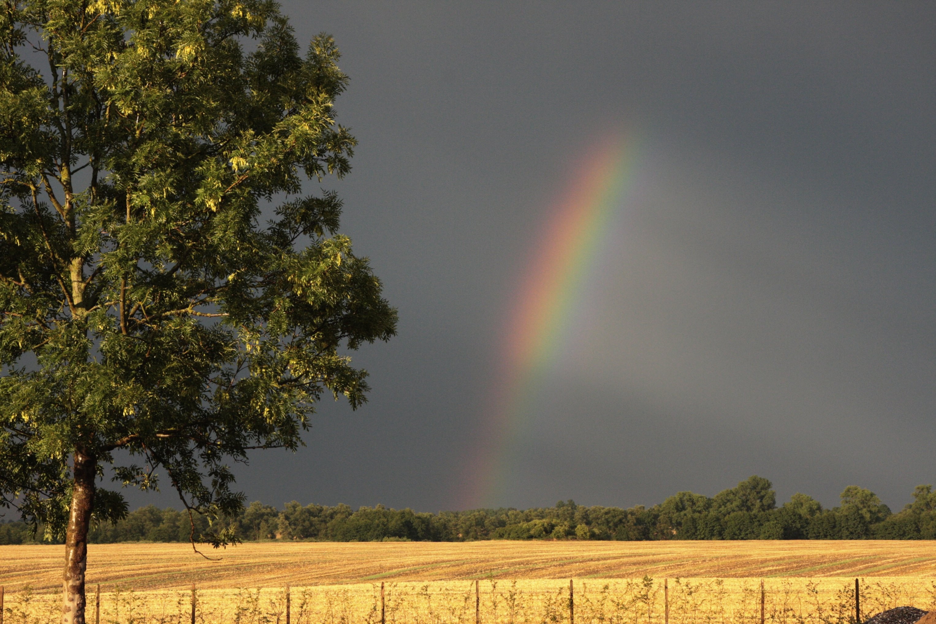 Peenetal Vorpommern Regenbogen