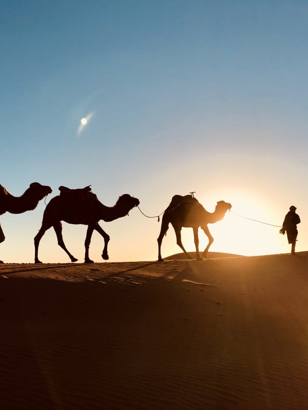 Desert Experience Sahara Morocco Luxury Family Travel
