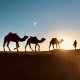 Desert Experience Sahara Morocco Luxury Family Travel