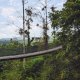 Costa Rica Destination Jungle Bridge