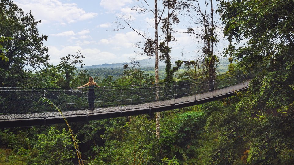 Costa Rica Destination Jungle Bridge