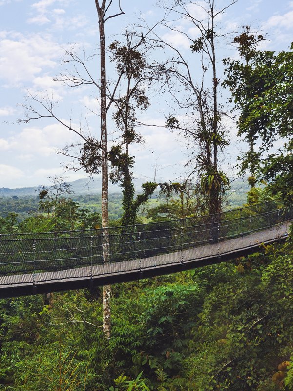Costa Rica Destination Jungle Bridge
