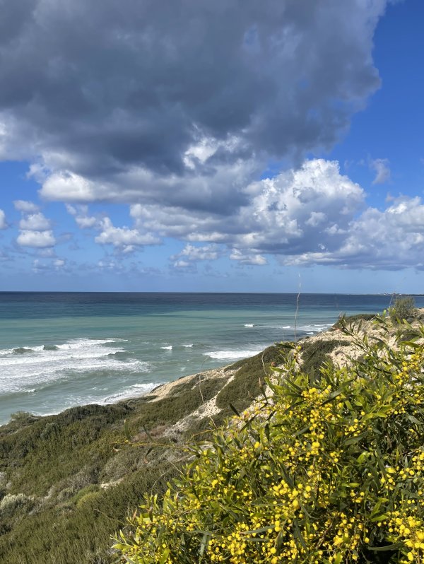 Cyprus with kids coast kouklia