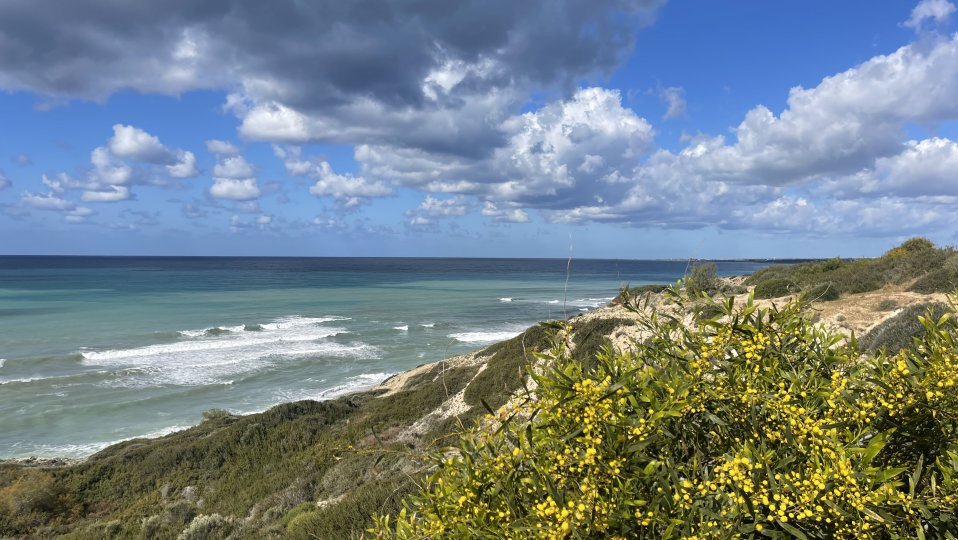 Cyprus with kids coast kouklia