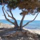 Formentera Best Beach Family Holiday Niche Traveller Tree