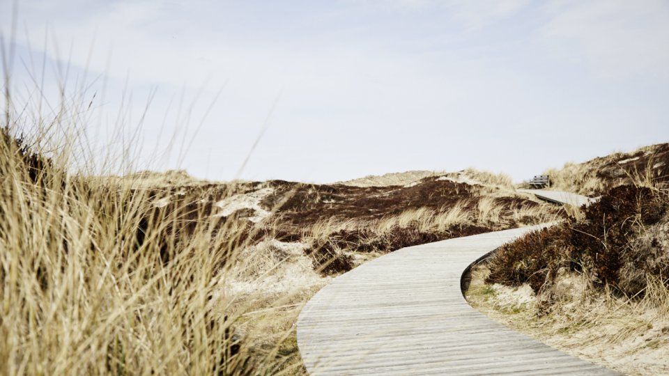 Sylt Buhne 16 Kampen Brita Soennichsen