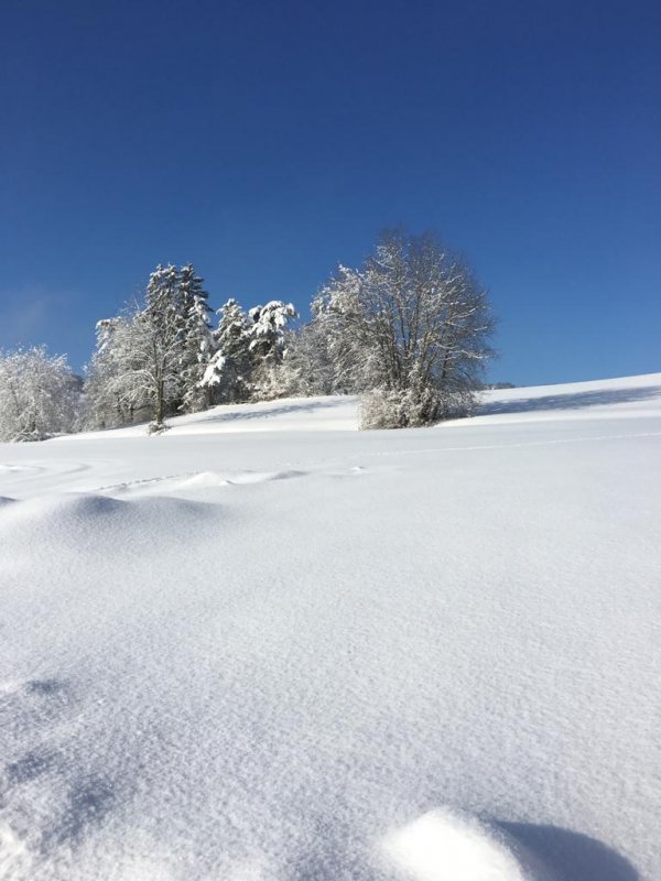 Lake Starnberg Winter Snow