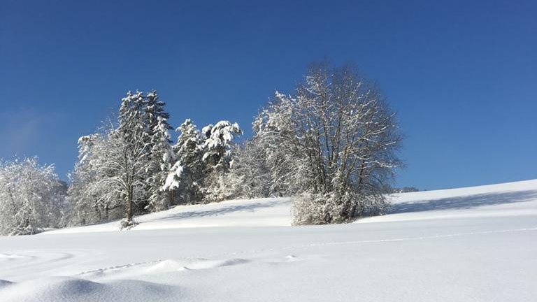 Lake Starnberg Winter Snow