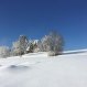 Lake Starnberg Winter Snow