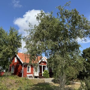 Balka strand bornholm