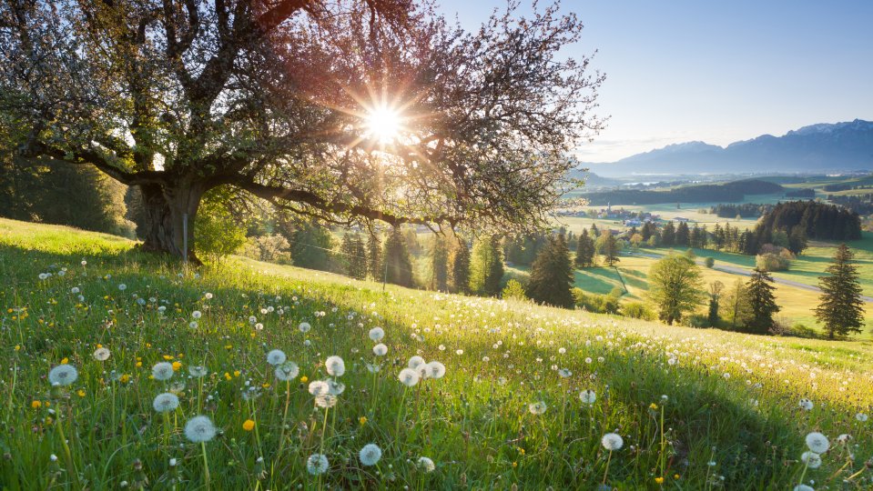 Luxury Family Travel Germany Allgau