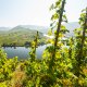 Family Travel Mosel Germany D Ketz