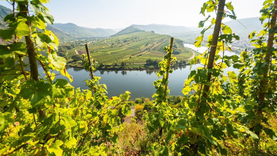 Family Travel Mosel Germany D Ketz
