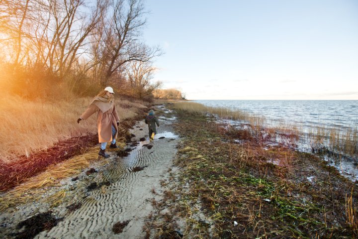 Family Resort Ostsee Spaziergang