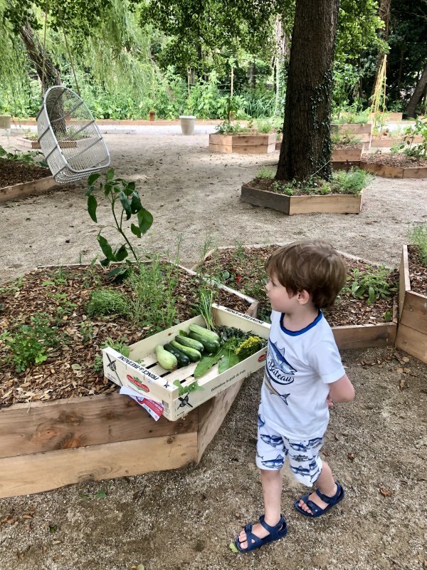 Travel To Corsica With Kids Hotel Misincu Organic Garden