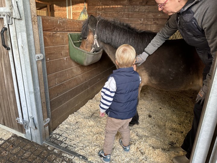 Familienurlaub Lubeburger Heide Bauernhof Reiten