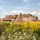 Travel To Provence Luberon With Kids City