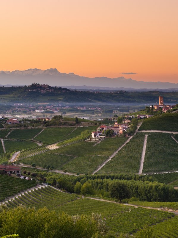 Barbaresco Weinberge Piemont Italien