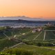 Barbaresco Weinberge Piemont Italien