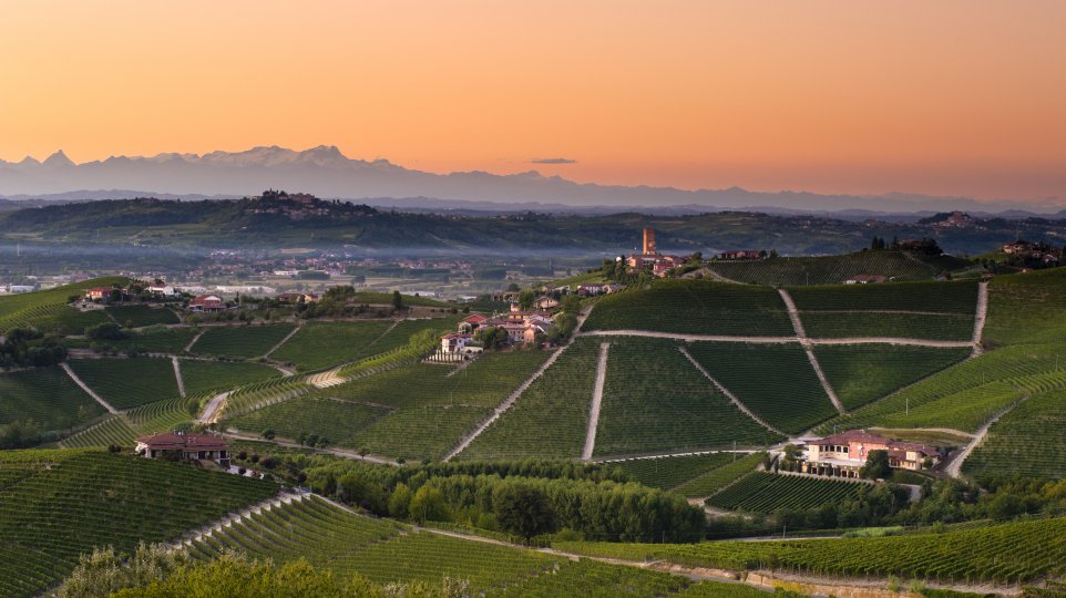 Barbaresco Weinberge Piemont Italien