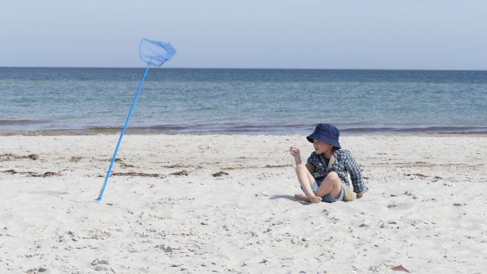 Geltinger Birk Ostsee Strand Famillienferien