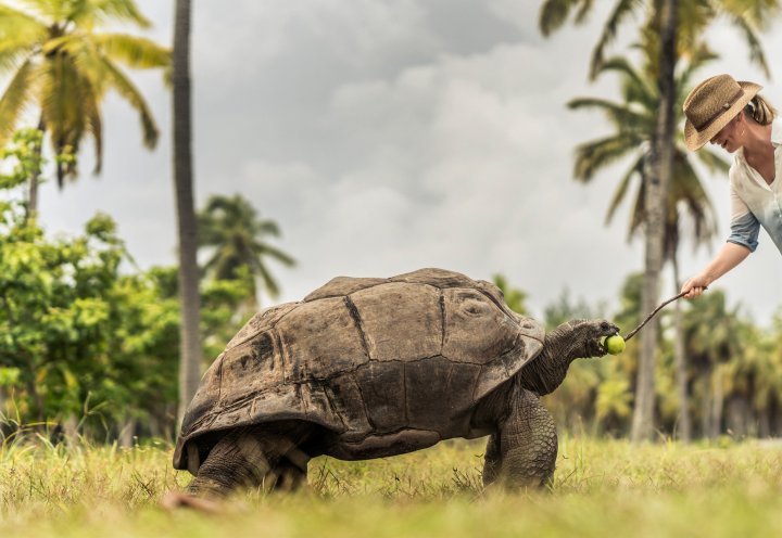 Desroches Seychelles